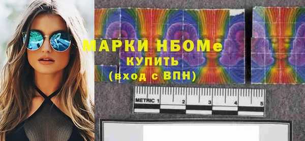 индика Алзамай