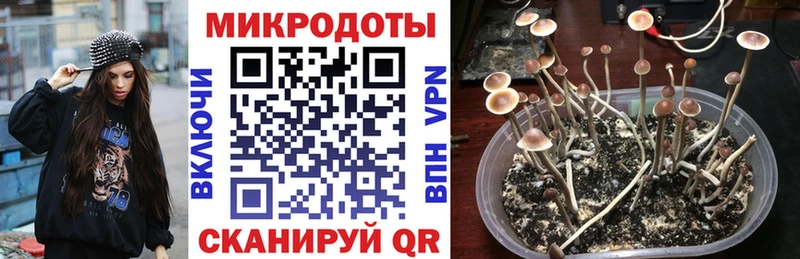 ОМГ ОМГ маркетплейс  Болхов  Галлюциногенные грибы мицелий 